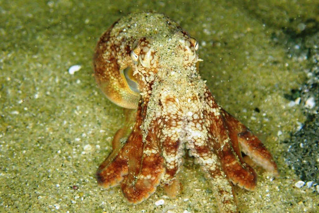 20210205恋の浦ナイト