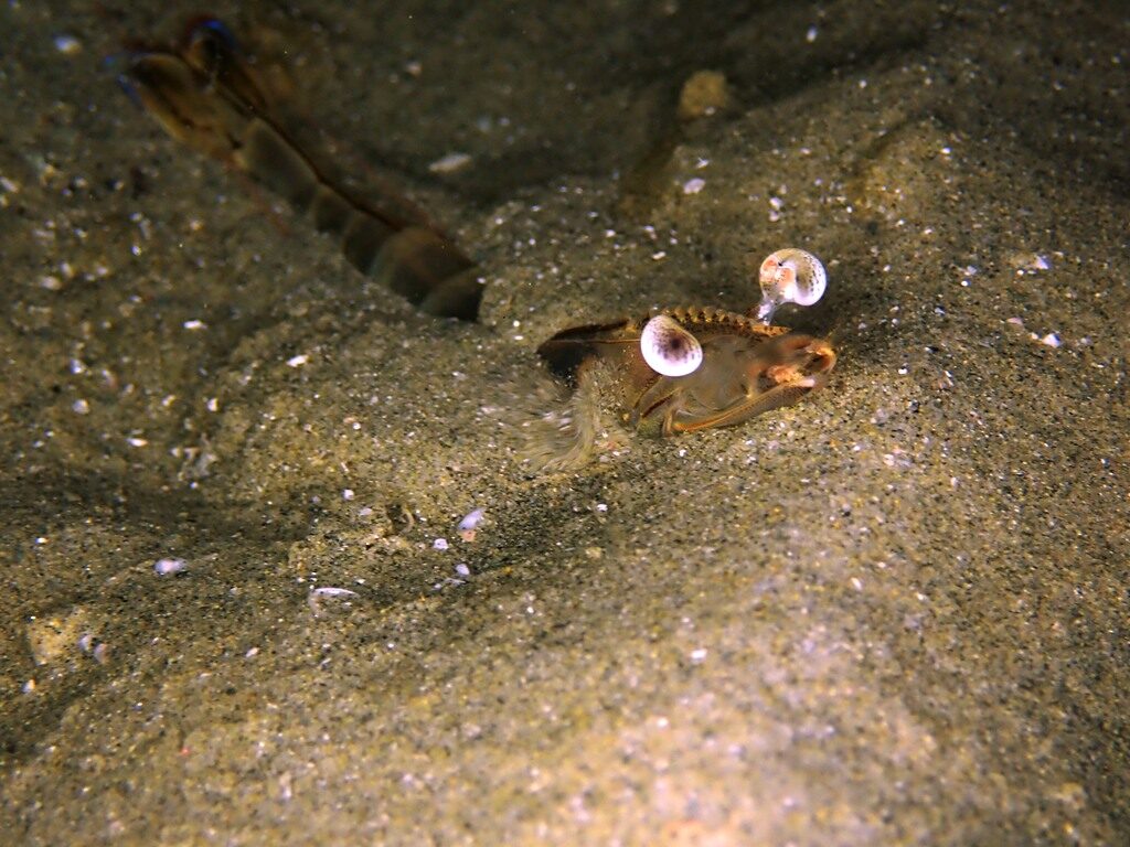 20210205恋の浦ナイト