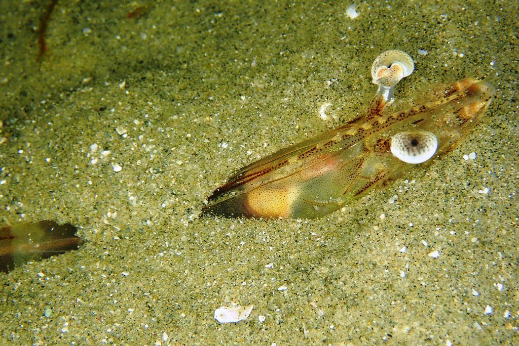 20210205恋の浦ナイト