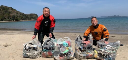 20210326恋の浦