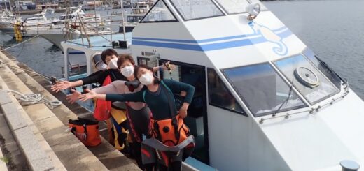 今日もいい天気です。 水面近くにはキビナゴの群れ レア物も多く楽しめました。