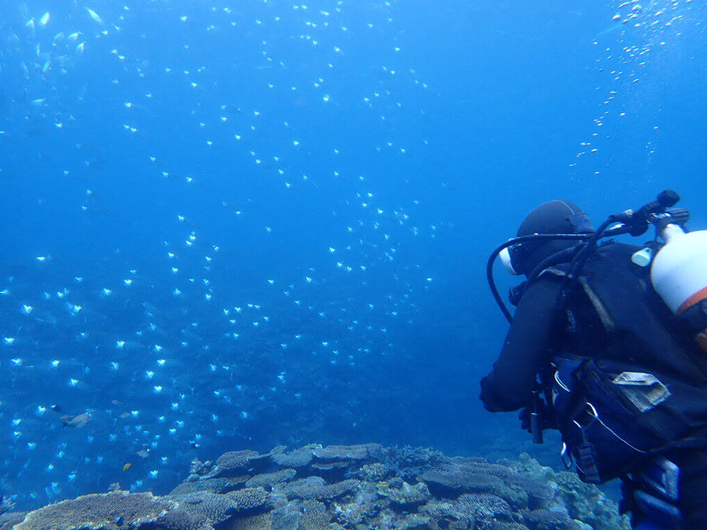 20210504石垣島