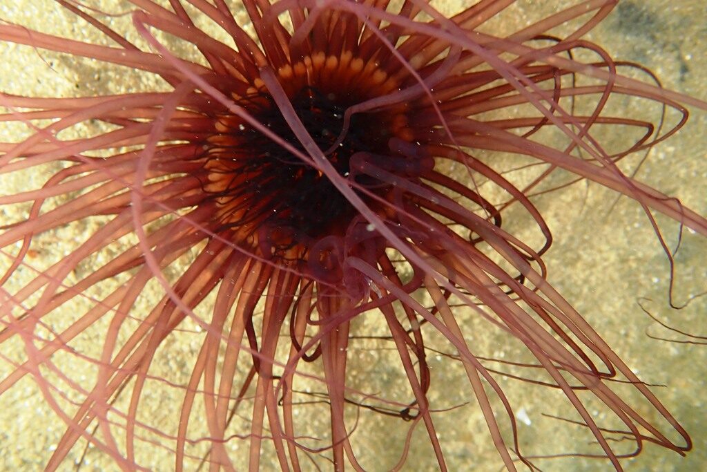 20210521恋の浦ナイト