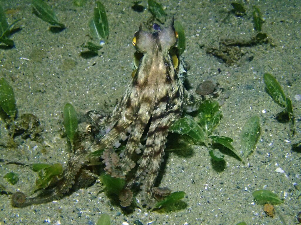 20210521恋の浦ナイト