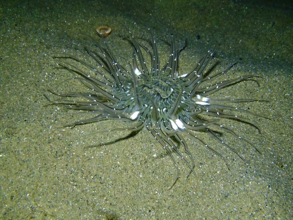 20210521恋の浦ナイト