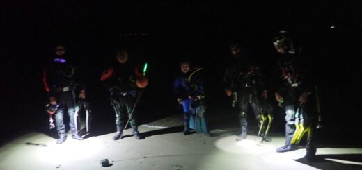 20210521恋の浦ナイト