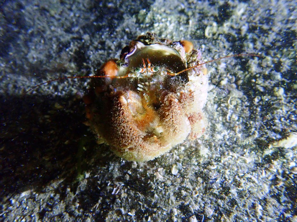 20210521恋の浦ナイト