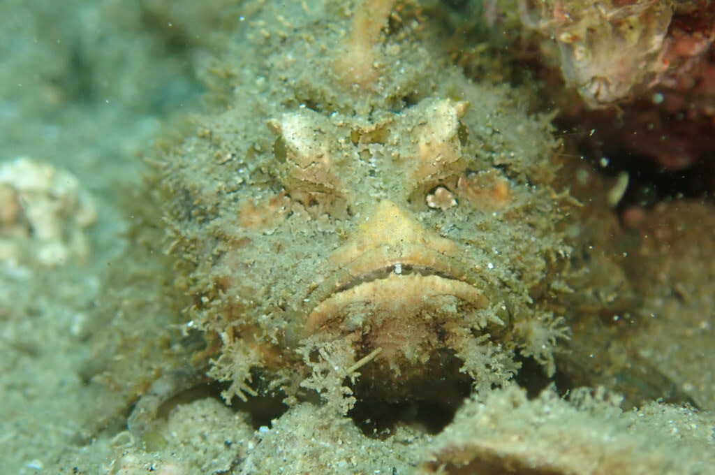 ２０２１０６１３恋の浦