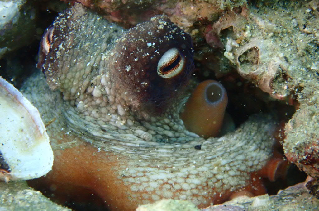 ２０２１０６１３恋の浦