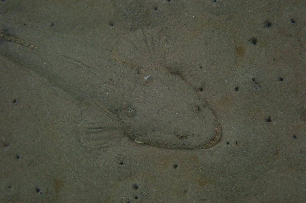 ２０２１０６１３恋の浦