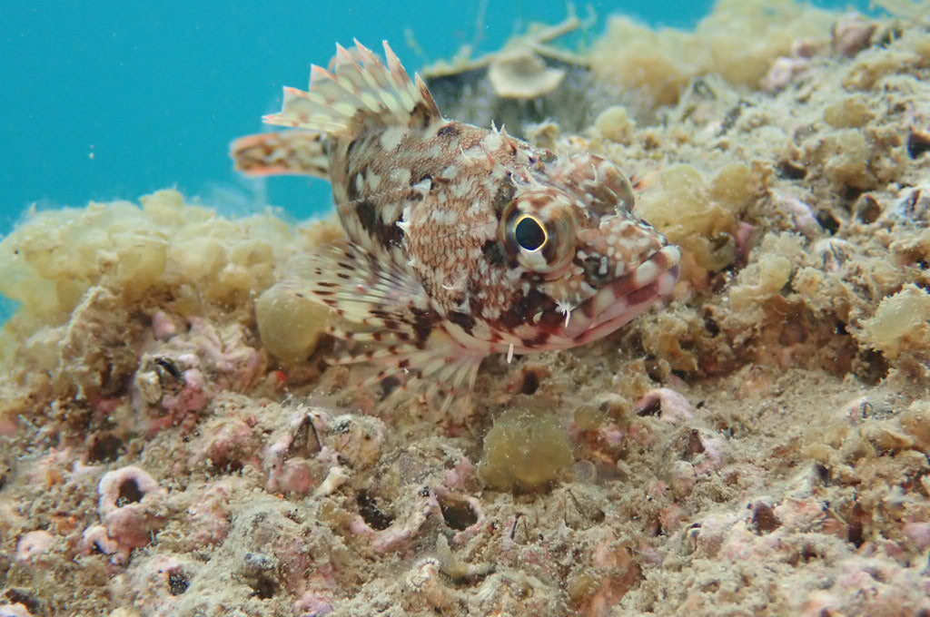 ２０２１０６１３恋の浦