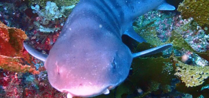 20210606芦屋沖ドリフト