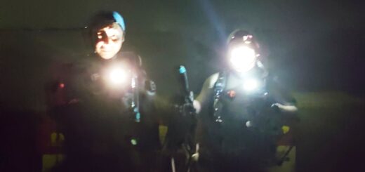 20221021ナイトダイブ