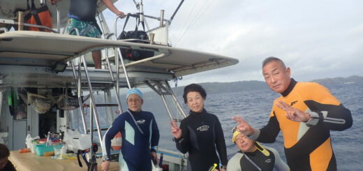 20221111沖縄本島