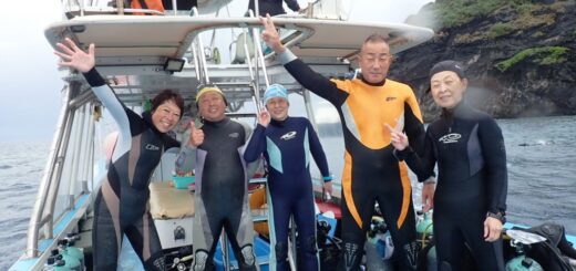 20221110沖縄本島