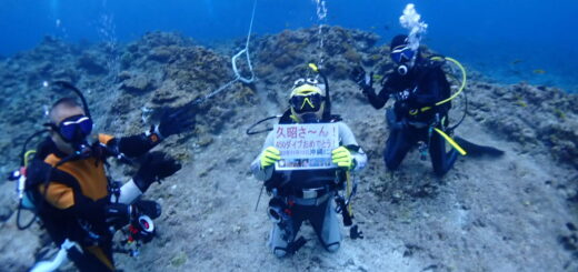 20221112沖縄本島