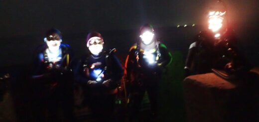 20230728恋の浦ナイト