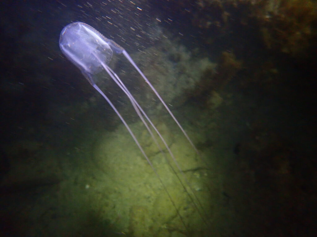 20230825恋の浦ナイト