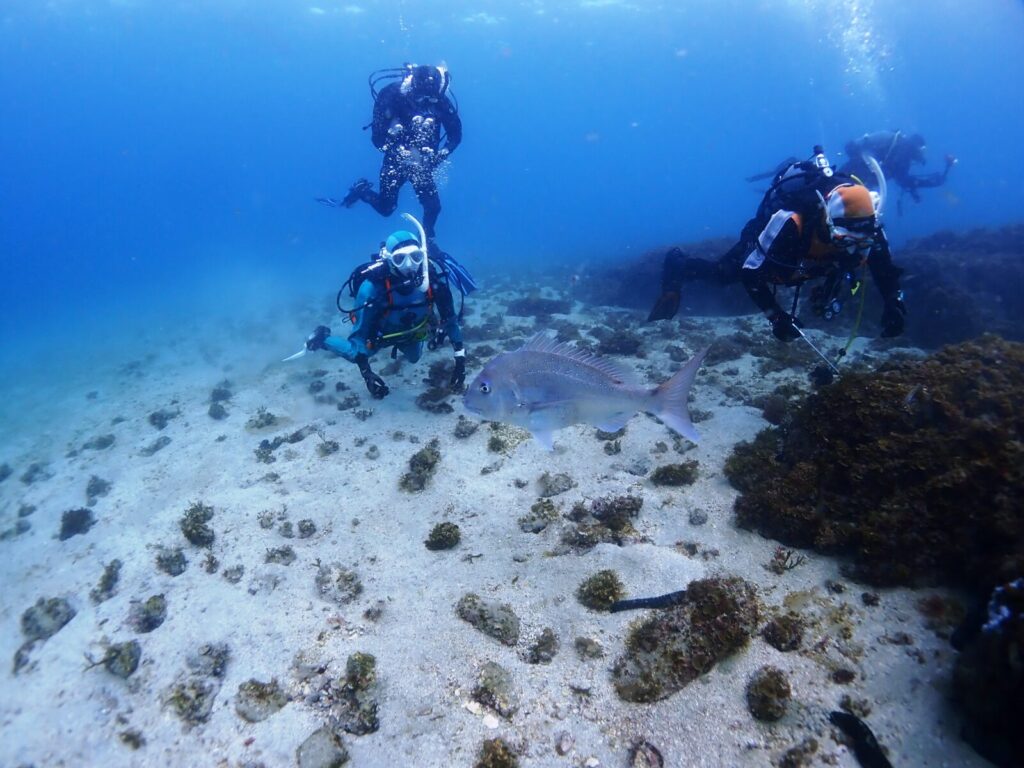 <!-- wp:tadv/classic-paragraph --> <p><a href="https://buddy-rope.com/blog/wp-content/uploads/2024/02/P2043502.jpg"><img class="alignnone size-full wp-image-38717" src="https://buddy-rope.com/blog/wp-content/uploads/2024/02/P2043502.jpg" alt="20240204辰口" width="1024" height="676" /></a> <a href="https://buddy-rope.com/blog/wp-content/uploads/2024/02/P2043493.jpg"><img class="alignnone size-full wp-image-38716" src="https://buddy-rope.com/blog/wp-content/uploads/2024/02/P2043493.jpg" alt="20240204辰口" width="1024" height="768" /></a> <a href="https://buddy-rope.com/blog/wp-content/uploads/2024/02/P2043481.jpg"><img class="alignnone size-full wp-image-38715" src="https://buddy-rope.com/blog/wp-content/uploads/2024/02/P2043481.jpg" alt="20240204辰口" width="1024" height="768" /></a> <a href="https://buddy-rope.com/blog/wp-content/uploads/2024/02/P2043509.jpg"><img class="alignnone size-full wp-image-38714" src="https://buddy-rope.com/blog/wp-content/uploads/2024/02/P2043509.jpg" alt="20240204辰口" width="1024" height="768" /></a> <a href="https://buddy-rope.com/blog/wp-content/uploads/2024/02/2040055.jpg"><img class="alignnone size-full wp-image-38719" src="https://buddy-rope.com/blog/wp-content/uploads/2024/02/2040055.jpg" alt="20240204辰口" width="1024" height="768" /></a><a href="https://buddy-rope.com/blog/wp-content/uploads/2024/02/P2043476-1.jpg"><img class="alignnone size-full wp-image-38721" src="https://buddy-rope.com/blog/wp-content/uploads/2024/02/P2043476-1.jpg" alt="20240204辰口" width="1024" height="768" /></a>                              </p> <p><br /><br /><br /></p> <p> </p> <!-- /wp:tadv/classic-paragraph -->