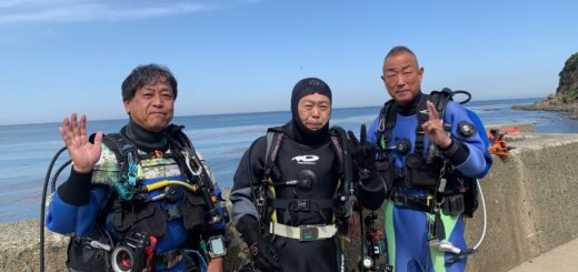 20260425恋の浦