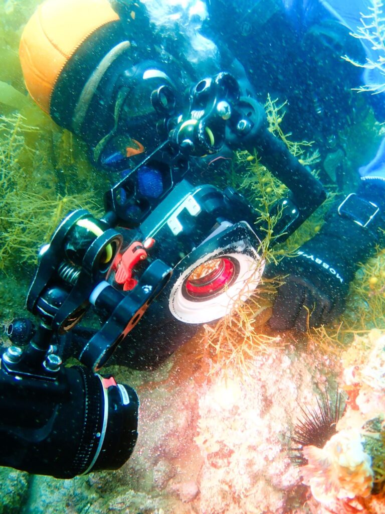 20260515恋の浦