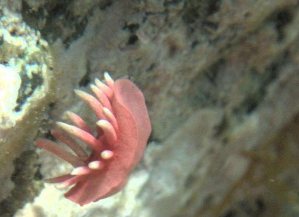 20260516恋の浦