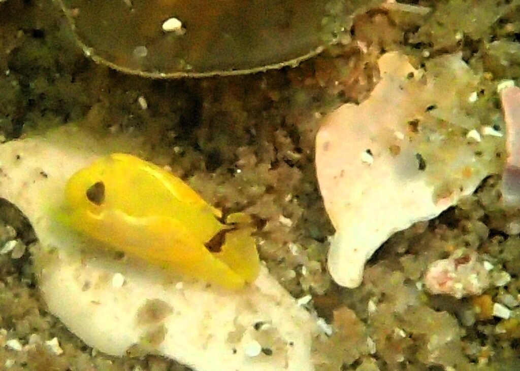 20260524恋の浦