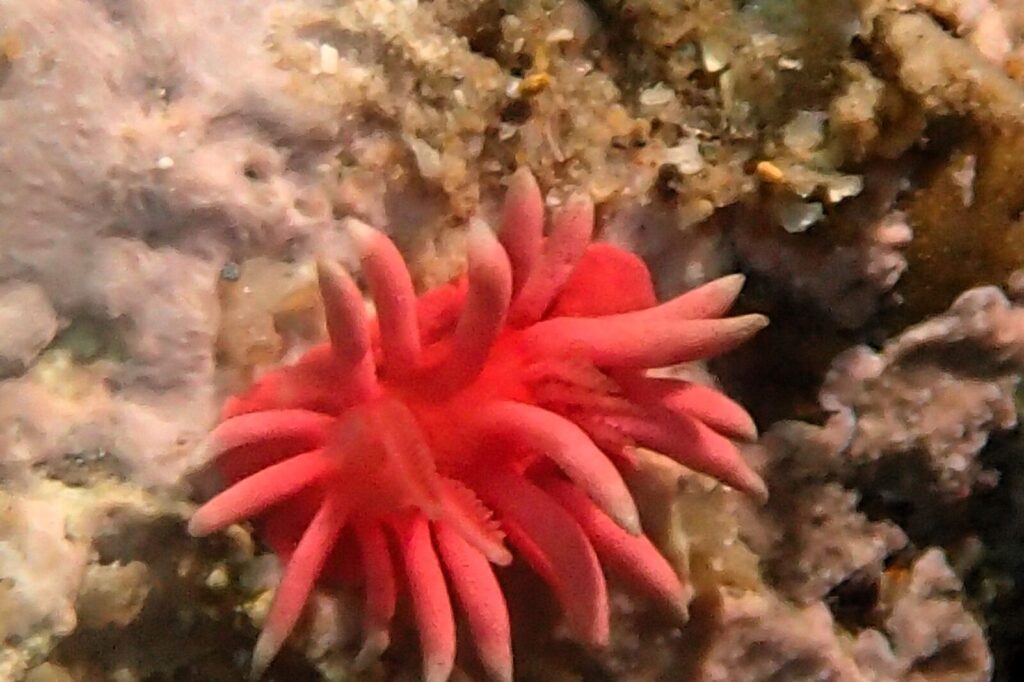 20260530恋の浦