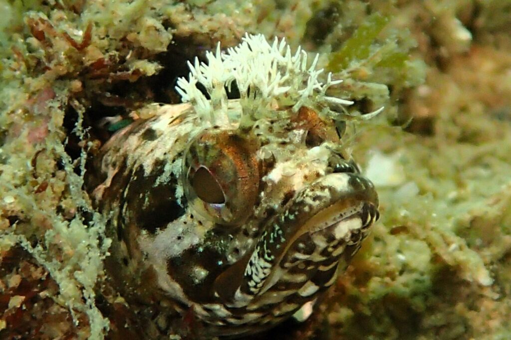 20260703恋の浦