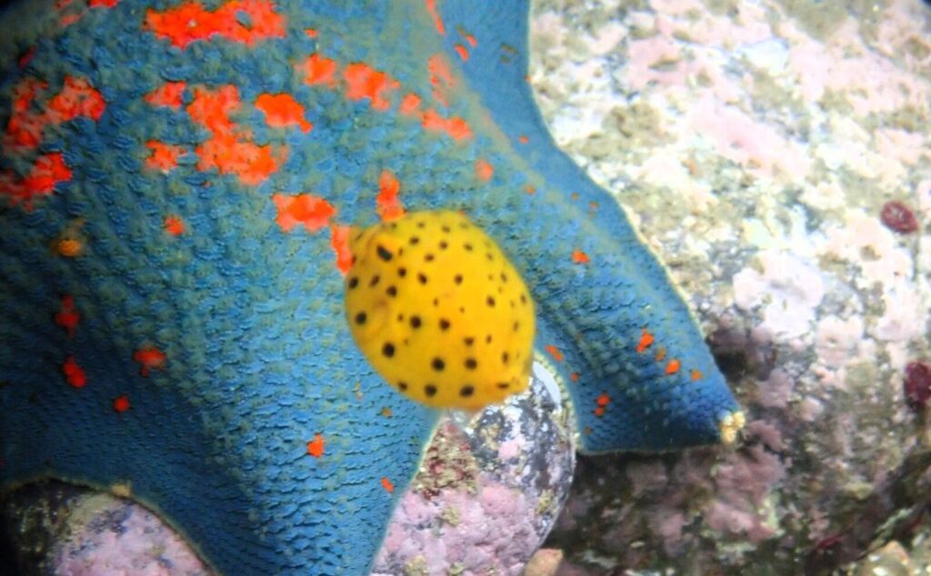20260703恋の浦