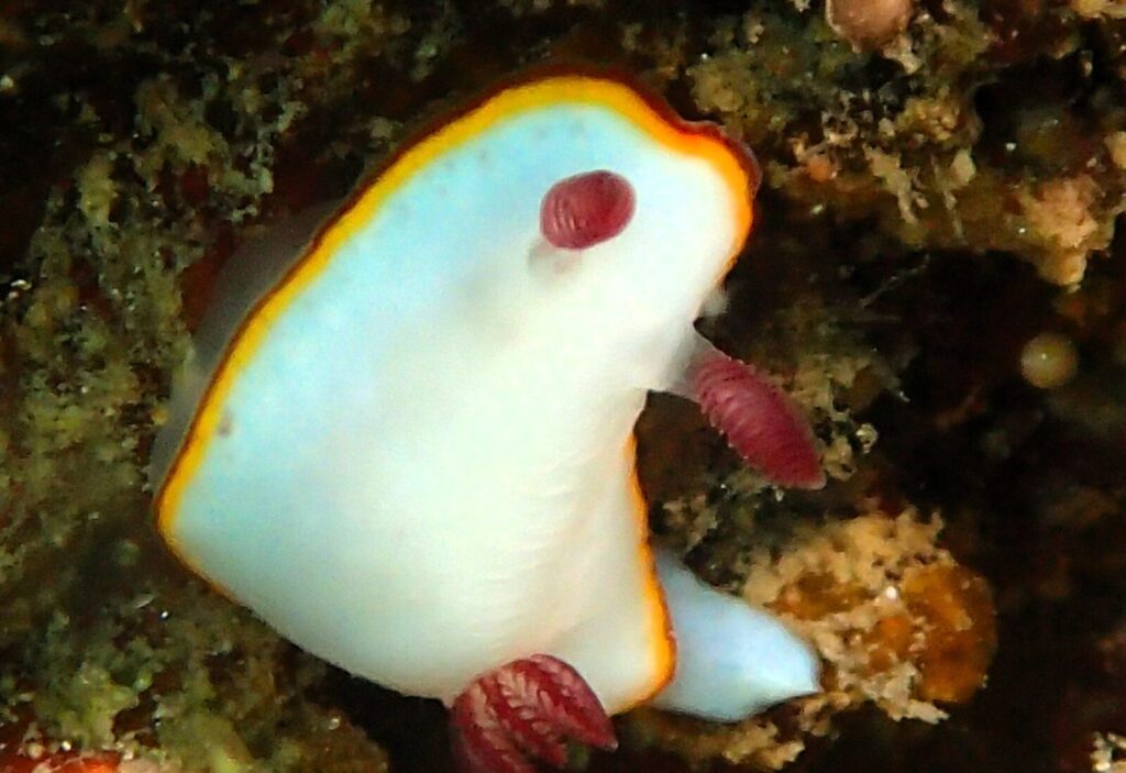 20260708恋の浦