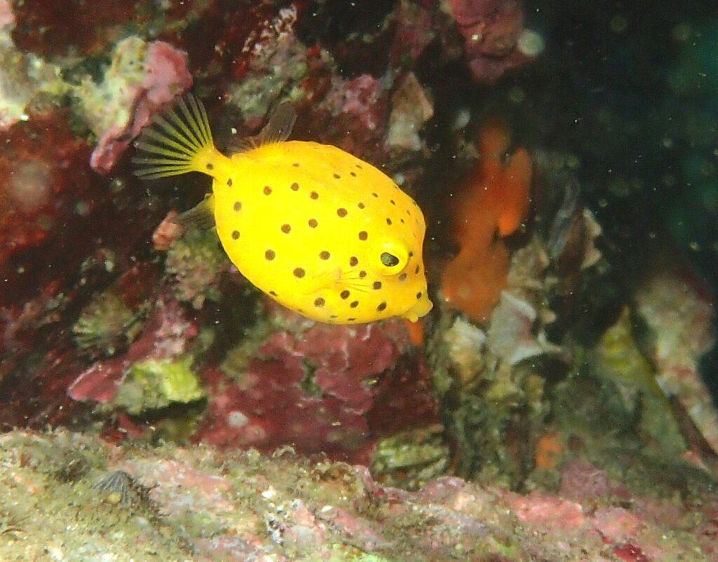 20260720恋の浦