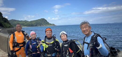 20260719恋の浦