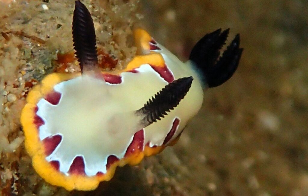 20260804恋の浦