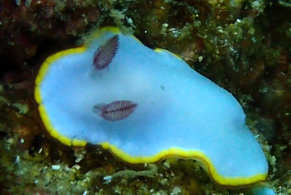 20260808恋の浦