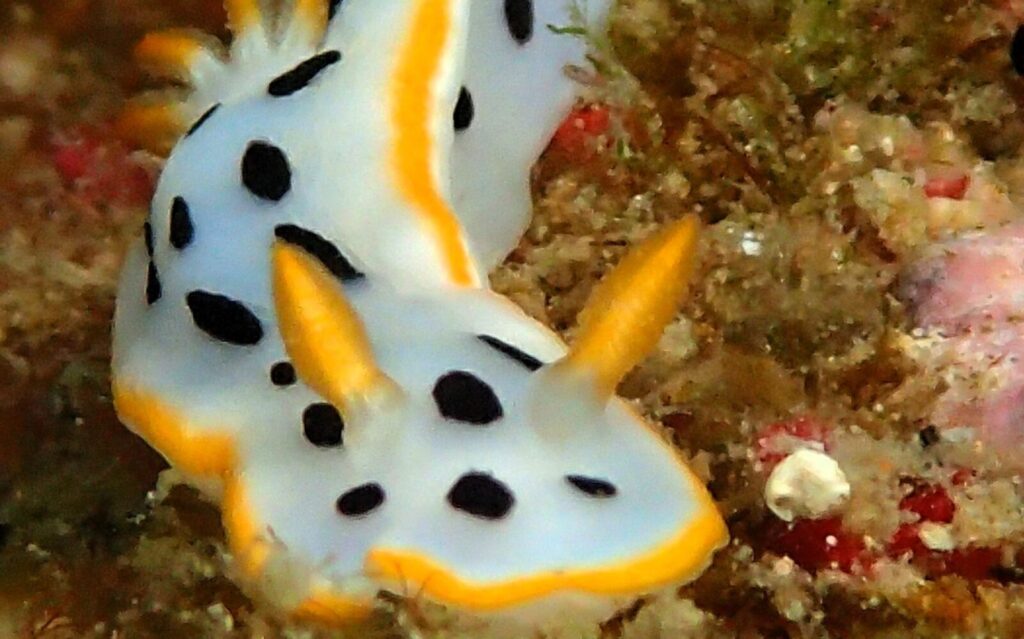 20260814恋の浦