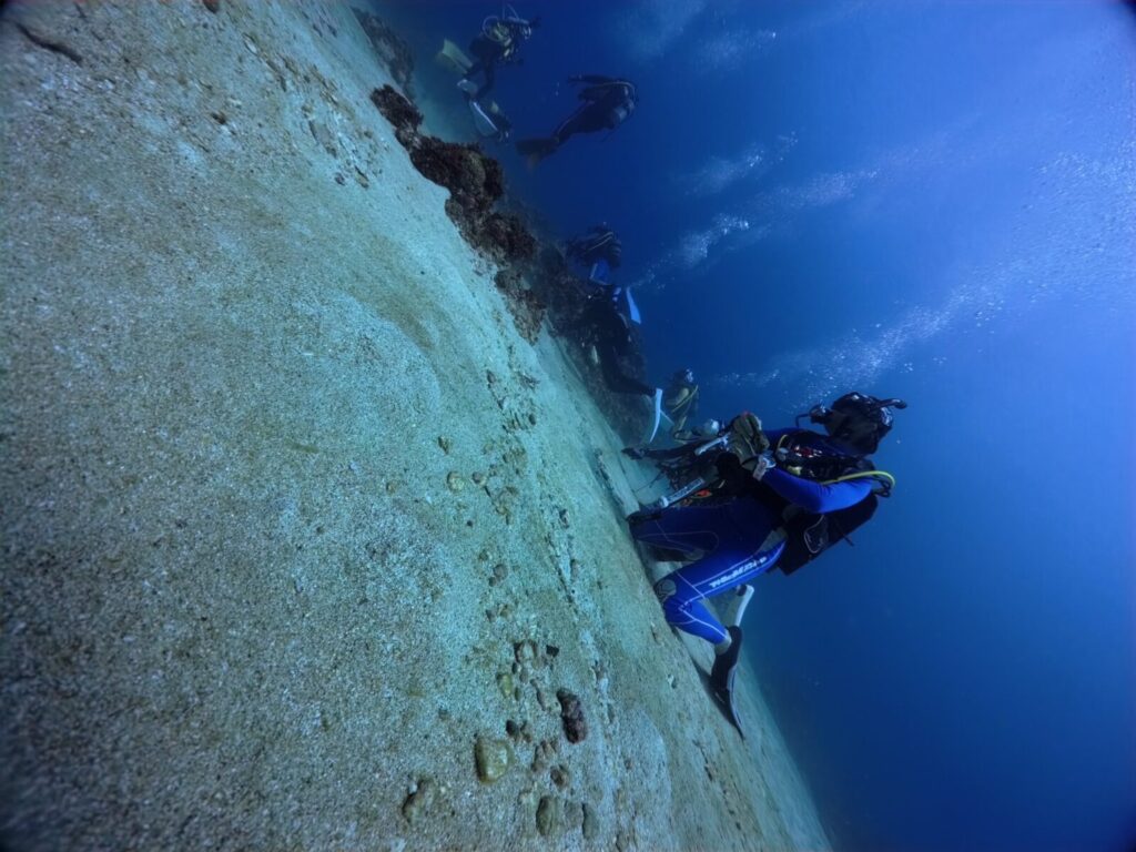 20260921徳之島