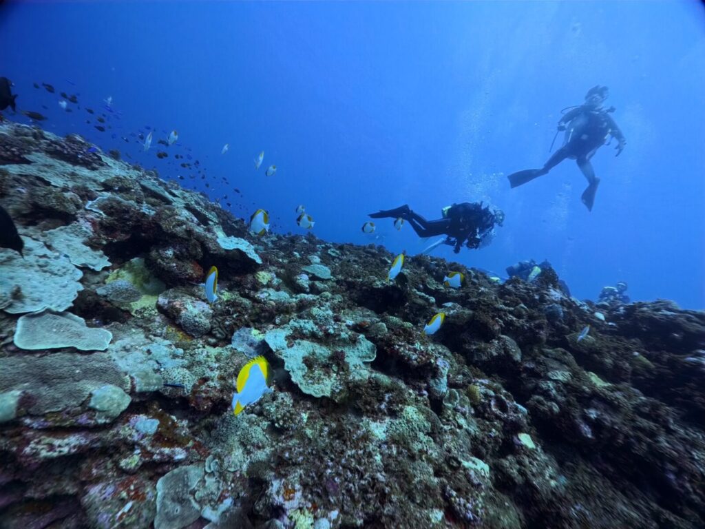 20260922徳之島