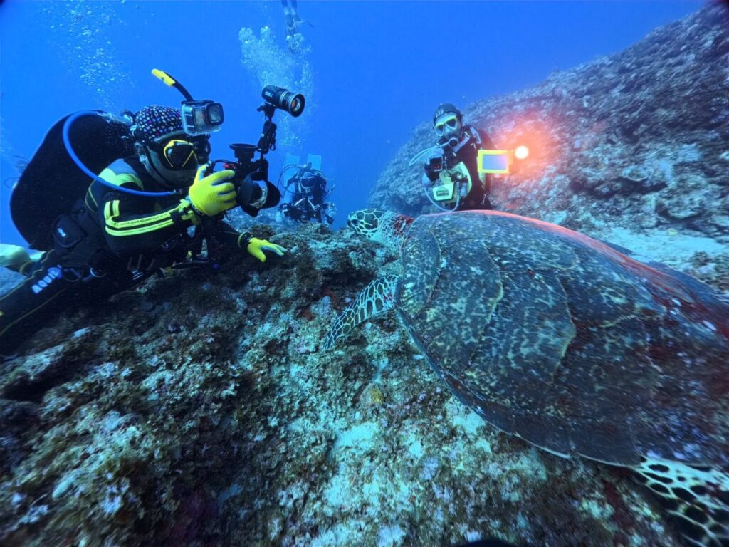 20260922徳之島