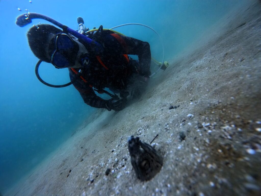 20260927恋の浦