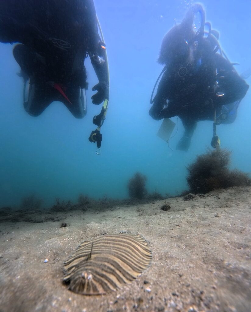 20261003恋の浦