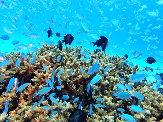 2015沖縄本島画像 2015沖縄本島画像