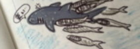 2015モルディブ画像