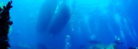 2017沖ノ島画像