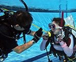 体験ダイビング